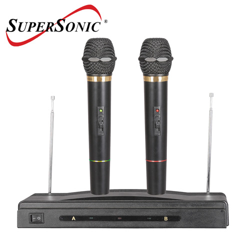 Professional Dual Wireless Mics