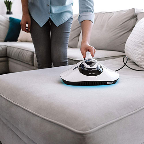 RayCop Lite UV Handheld Vacuum