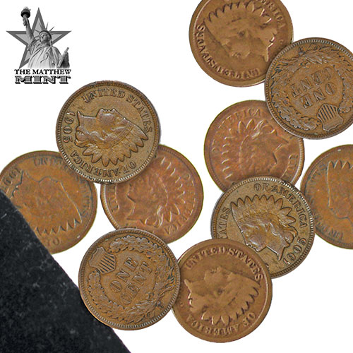 10-Piec Indian Head Penny Set