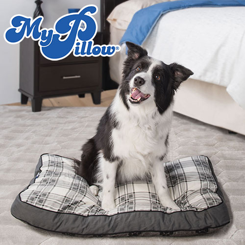 MyPillow Pet Bed