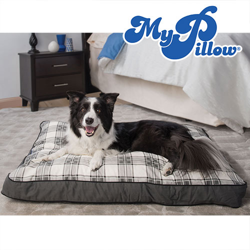 MyPillow Pet Bed