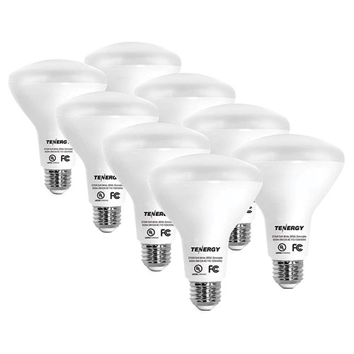 Tenergy Daylight 60W Bulbs - 8 Pack