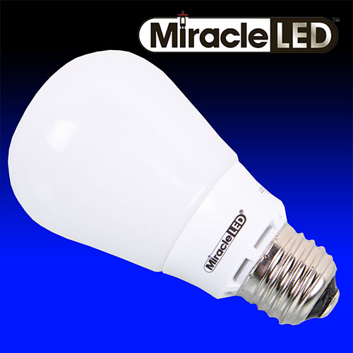12 Pack Daylight Bulbs