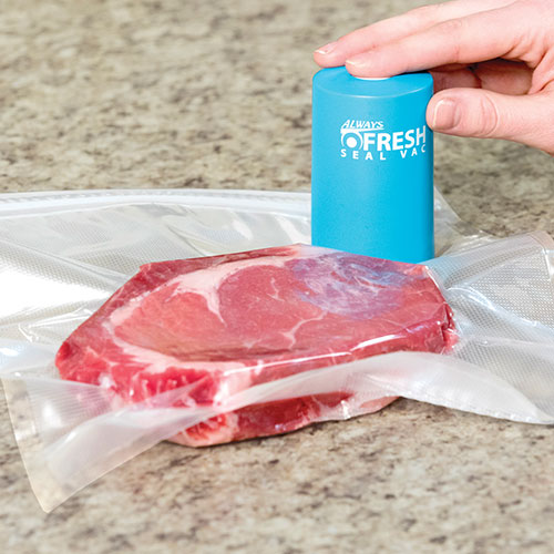 Fresh Seal Food Storage Vac & Refill Combo