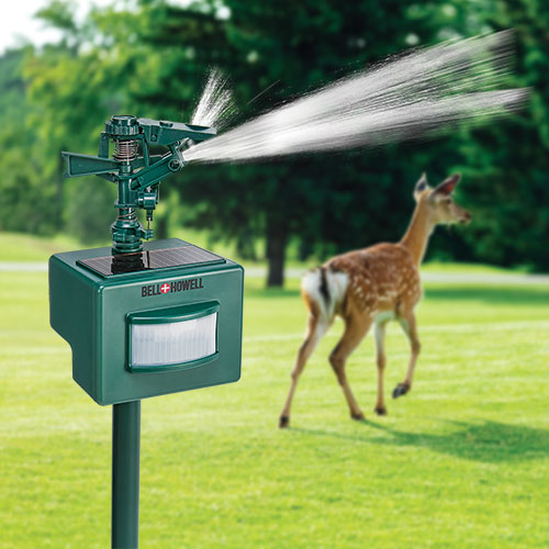 Bell + Howell Solar Water Sprayer Animal Repeller