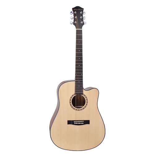 Spectrum FS Acoustic Guitar