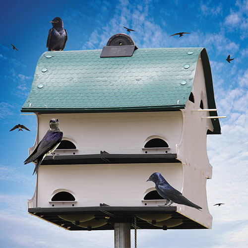 Purple Martin Barn