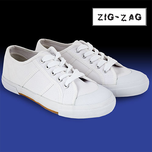 Canvas Shoes
