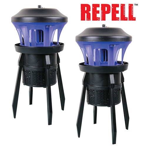 Insect Trap