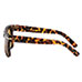 Eagle Eyes Swift Retro Sunglasses