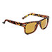 Eagle Eyes Swift Retro Sunglasses