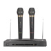 Professional Dual Wireless Mics
