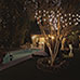 50-Bulb LED Solar String Lights - 2 Pack