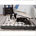 MyPillow Pet Bed