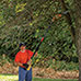 Earthwise 40V Convertible Pole Saw