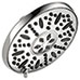 Delta Peerless Shower Head