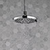 Delta Peerless Shower Head