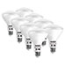 Tenergy Daylight 60W Bulbs - 8 Pack