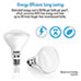 Tenergy Daylight 60W Bulbs - 8 Pack