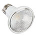 Miracle LED Flood Lights - 10 Pack