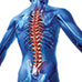 Posture Magic Back Support