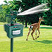 Bell + Howell Solar Water Sprayer Animal Repeller