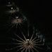 Sol Mar Solar Garden Lights - 10 Pack