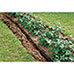 Miracle-Gro SoakerPRO Element 3/8 in. Dia x 50 ft. Water Hose