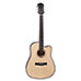 Spectrum FS Acoustic Guitar