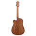 Spectrum FS Acoustic Guitar
