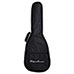 Spectrum FS Acoustic Guitar