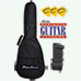 Spectrum FS Acoustic Guitar