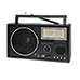 Technical Pro Solar Powered AM/FM/Shortwave Radio with Bluetooth
