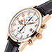 Steinhausen SO921 Lugano Quartz Watch