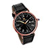 Steinhausen Altdorf S0120 Watch