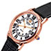 Steinhausen S0722 Delemont Watch