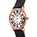 Steinhausen S0722 Delemont Watch