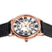Steinhausen S0722 Delemont Watch