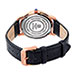 Steinhausen S0722 Delemont Watch