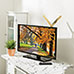 TV Freeway Gold Antenna