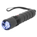 Stun Gun Flashlight