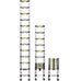 Den Haven Telescopic 12.5' Ladder