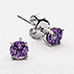 CPS Bracelet and Earring Set