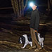 Powerbeam 800 Lumen Head Lamps - 2 Pack