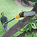 Tornado Tools Pole Saw
