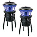 Insect Trap